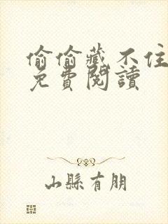 偷偷藏不住小说免费阅读