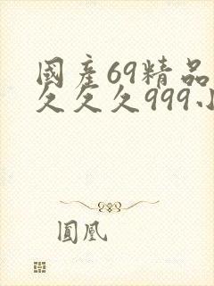 国产69精品久久久久999小说