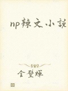 np辣文小说