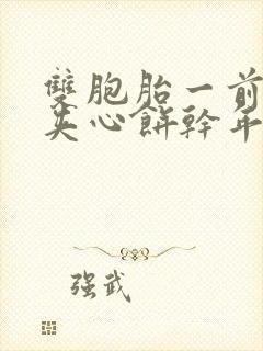 双胞胎一前一后夹心饼干年下