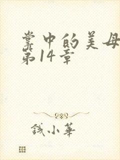掌中的美母版主第14章