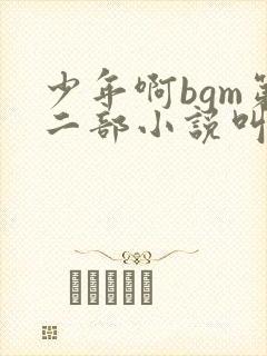 少年啊bgm第二部小说叫什么
