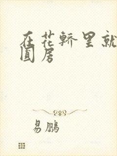 在花轿里就开始圆房