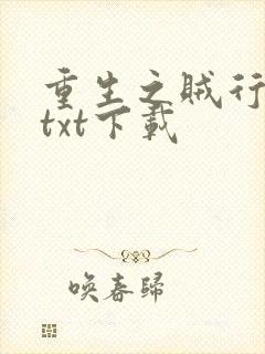 重生之贼行天下txt下载