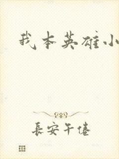 我本英雄小说