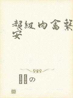 超级肉禽系统保安