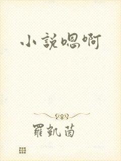 小说嗯啊