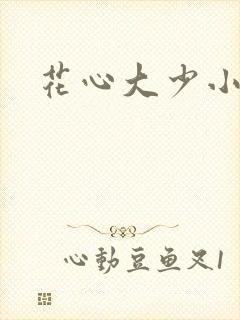 花心大少小说