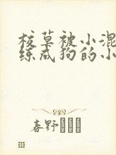 校草被小混混训练成狗的小说