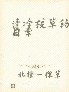 清冷校草的抹布日常