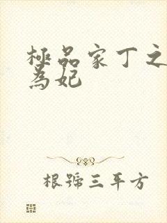 极品家丁之册母为妃