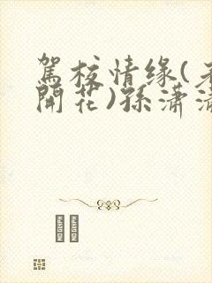 驾校情缘(老树开花)孙潇潇笔趣阁