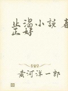 止渴小说 春光正好