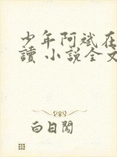 少年阿斌在线阅读 小说全文免费