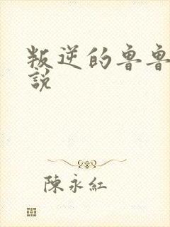 叛逆的鲁鲁修小说