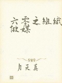 六零之组织给我做媒