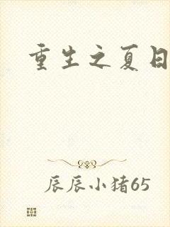 重生之夏日倾情