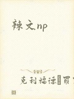 辣文np
