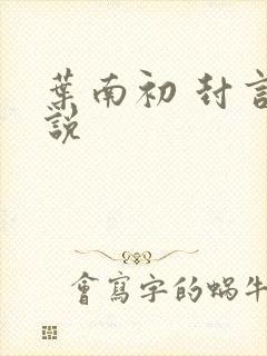 叶南初 封言小说