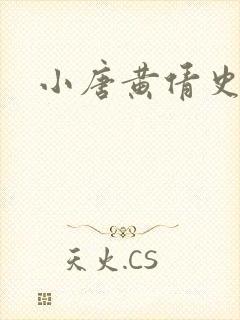 小唐黄倩史