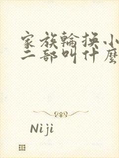 家族轮换小说第二部叫什么名字