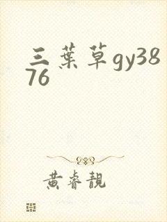 三叶草gy3876