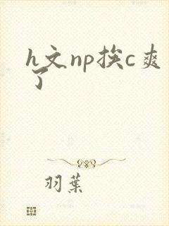 h文np挨c爽了