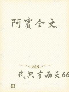 阿宾全文