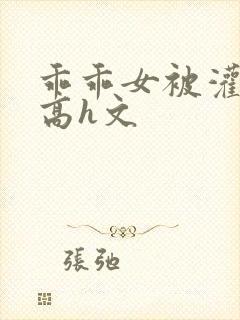 乖乖女被灌满精高h文