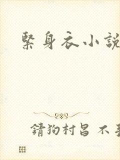 紧身衣小说
