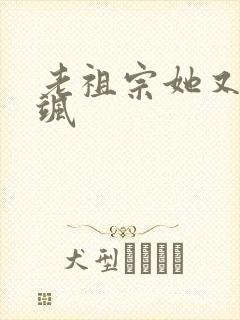 老祖宗她又美又飒