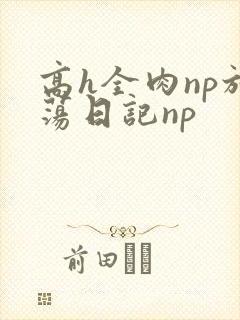 高h全肉np放荡日记np
