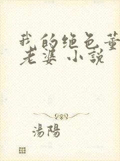 我的绝色董事长老婆 小说