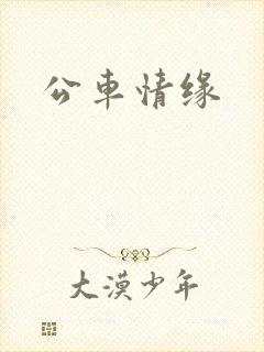 公车情缘