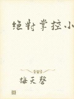 绝对掌控小说