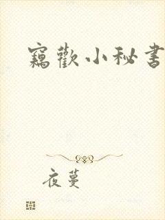 窃欢小秘书