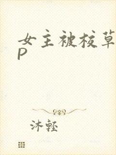 女主被校草们NP