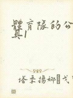 体育队的公用玩具1