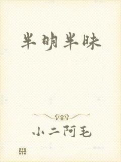 半明半昧