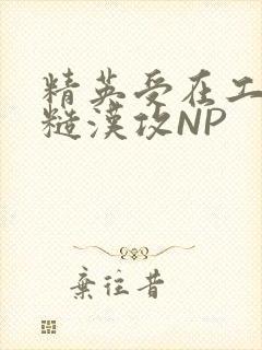 精英受在工地被糙汉攻NP