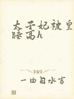 太子妃被皇上强睡高h