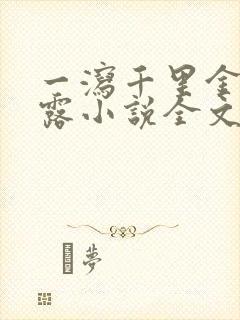 一泻千里金银花露小说全文免费阅读