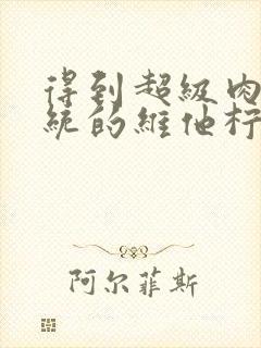 得到超级肉禽系统的维他柠檬茶