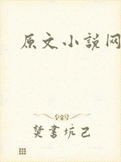 原文小说网