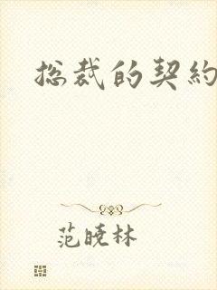 总裁的契约情人