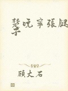 楚晚宁张腿放棋子