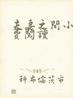 夫妻之间小说免费阅读