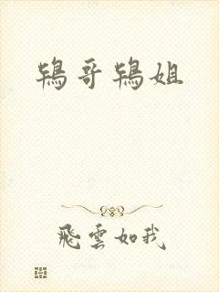 鸨哥鸨姐