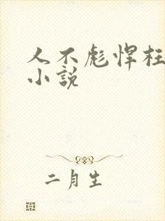 人不彪悍枉少年小说