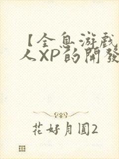 【全息游戏】美人XP的开发日常